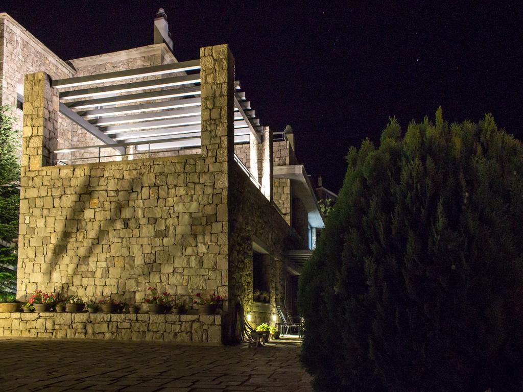 Elafivolia Arachova Suites エクステリア 写真