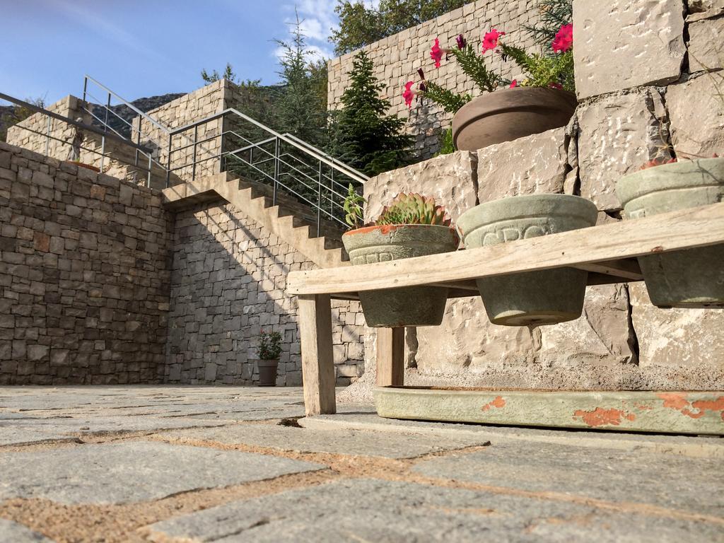 Elafivolia Arachova Suites エクステリア 写真